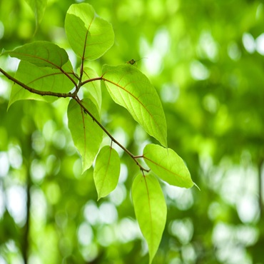 short training courses