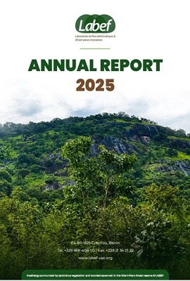 Rapport Annuel